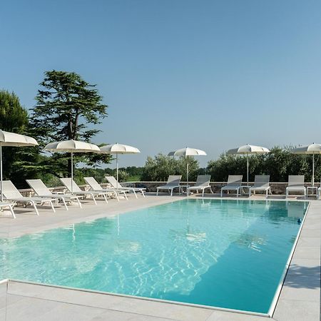 Verdeolivo 1876 - Apartments & Pool Mezzane di Sotto Экстерьер фото