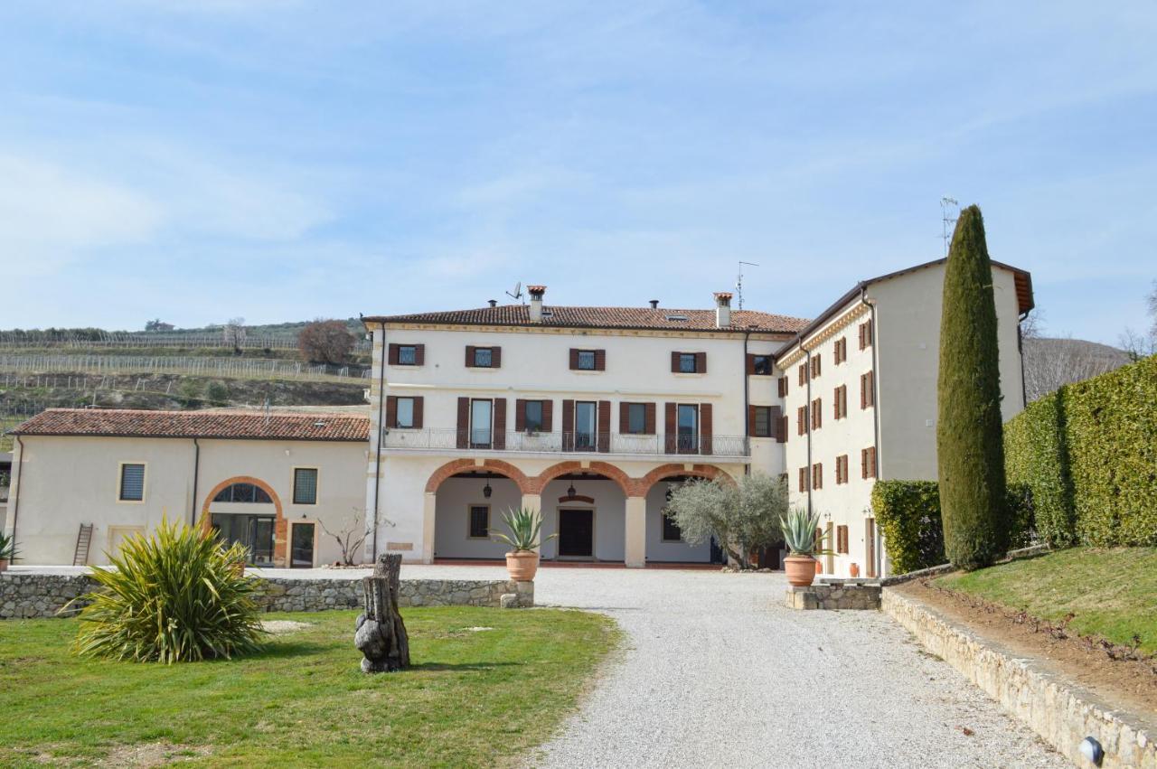 Verdeolivo 1876 - Apartments & Pool Mezzane di Sotto Экстерьер фото